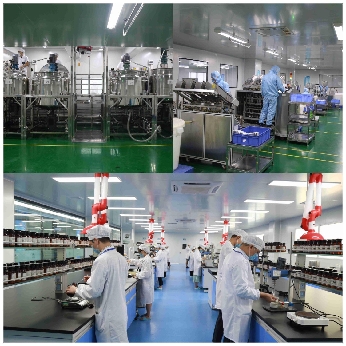 work shop for nose patch work shop for nose patch